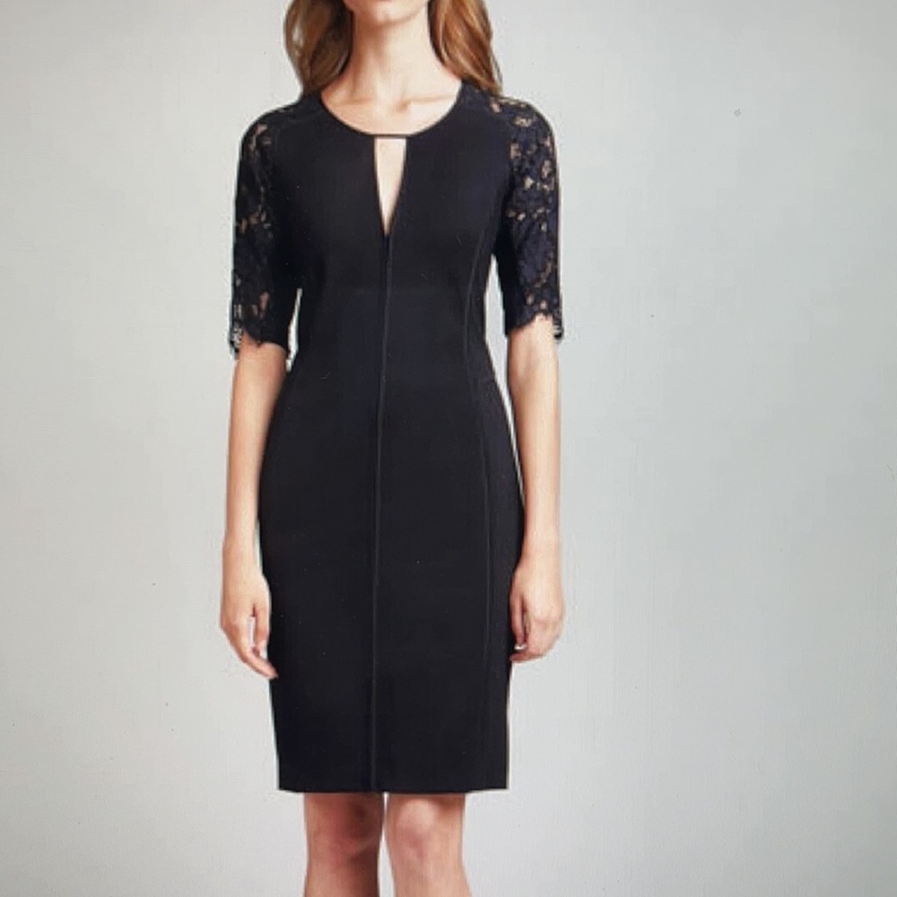 Rebecca Taylor Lace sleeve fitted dress
